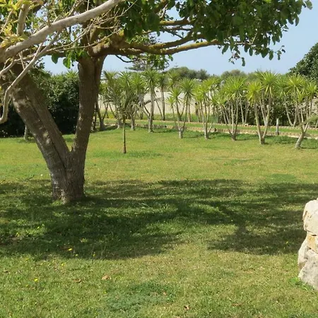 Casa Nettuno Apartment Granelli